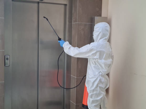 Sanitizing interior surfaces. Cleaning and Disinfection inside buildings