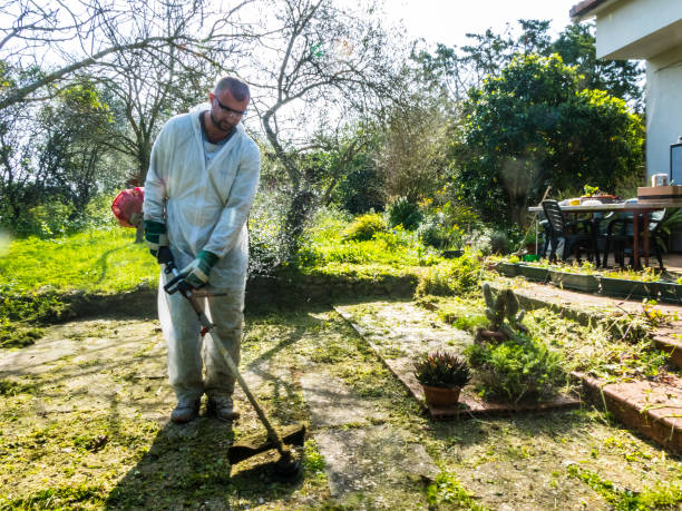 Man wearing a white suit cutting grass the grass in the garden in a sunny day
